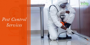 Reliable pest control services in Bangalore by TechSquadTeam